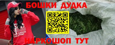 Альфа ПВП Сланцы