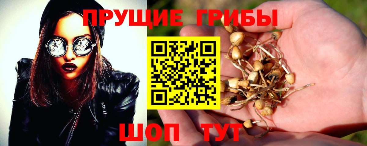 Галлюциногенные грибы Cubensis Нижнеудинск