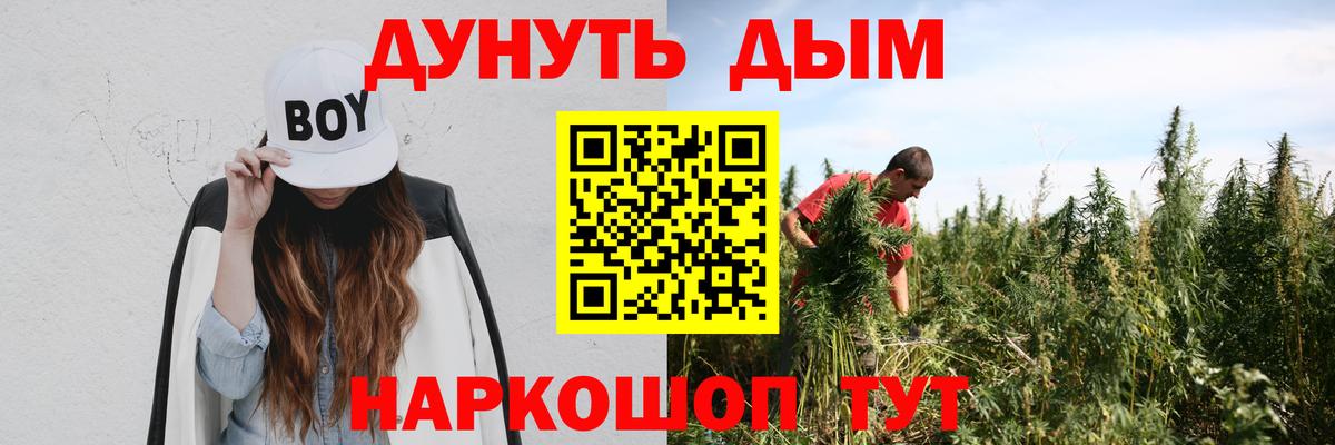 Бошки Шишки VHQ  Вход с VPN  Бошки Шишки Bruce Banner  Нижнеудинск  Бошки Шишки планчик  Канабис THC 21% 